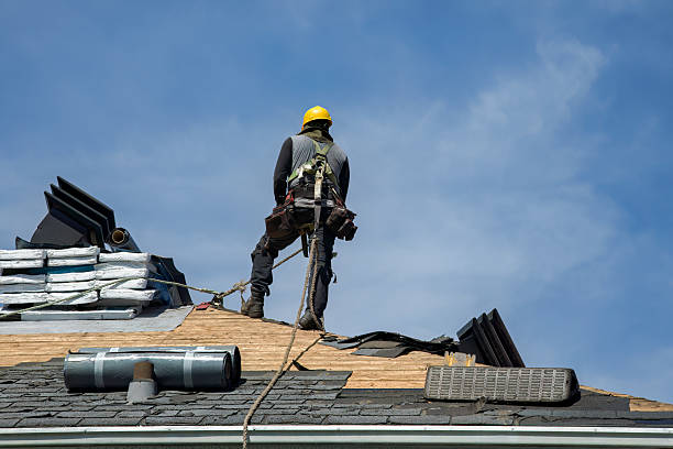 Professional Roof Repair technician working in Muldoon, TX